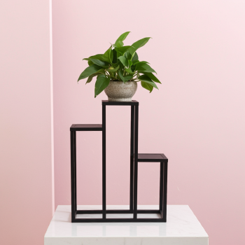 Kwietnik potrójny 60x75cm