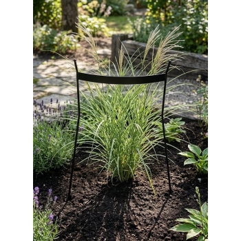 Podpora otwarta dla traw i nie tylko