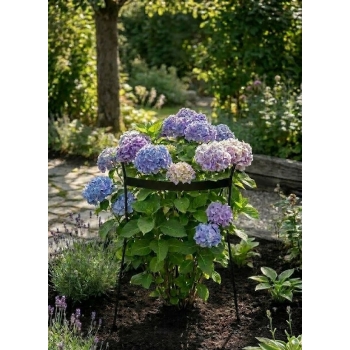 Podpora otwarta dla traw i nie tylko